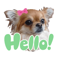 いぶちゃんのお家4