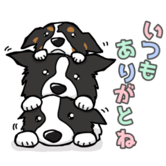 ルークとゆかいな仲間たち⑥