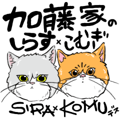 しら×こむスタンプ
