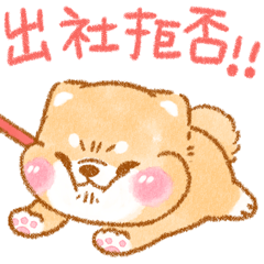 やる気がでない時に使う❤️いやしばいぬ❤️