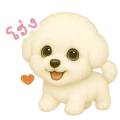 わんで伝えるビションフリーゼ TH