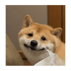 flukierrook_20251025155906