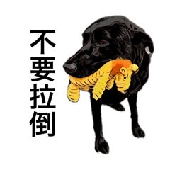 123hahaha_20251026123133