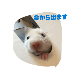 日常に少し使えるかもしれないスタンプ