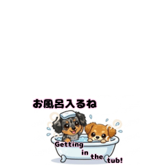 ダックス＆チワクスの日常トーク