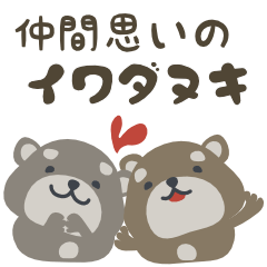 仲間思いのイワダヌキ（ハイラックス）