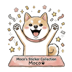 柴犬もこ（リアクション編）