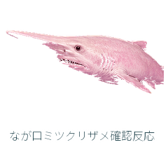なが口ミツクリザメ確認反応