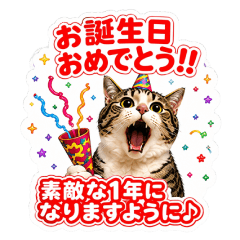 誕生日・お祝いに♡ずっと使えるリアル猫