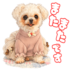 クルミのもふもふ天使日和♪〜おめかし編〜