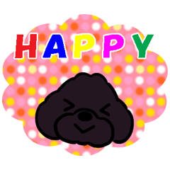 トイプードル もこもこのもこ17