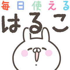 あおいぷん★はるこ★専用うさぎ☆日常