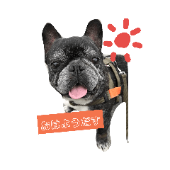 くろべえの毎日スタンプ