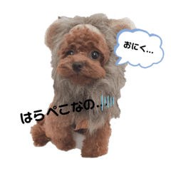 ピョルくんスタンプ