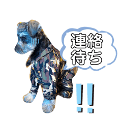 仔犬のカール！