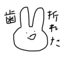 歯が折れたうさちゃん