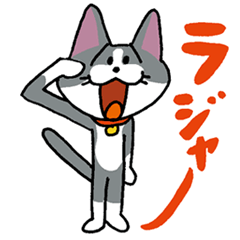 お茶目なハチワレニャンコ