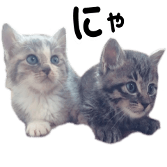 らいふうすたんぷ