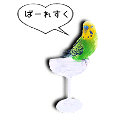 幸せのインコ１
