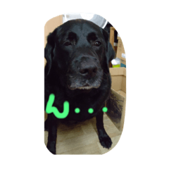 たけまつ君とそらチャン