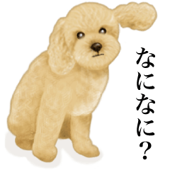 プーちゃんの本音