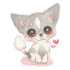 胸きゅん！癒しわんこミルク♪