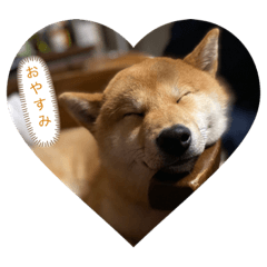 吟さんの日常①