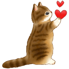 使いやすい☆猫たちのスタンプ 5