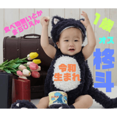 ぼく怪獣だよ。