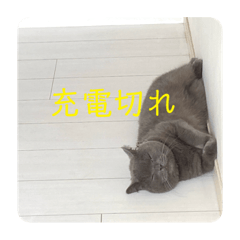 ちょいと一言♡