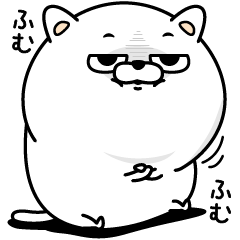 目が笑ってないねこ