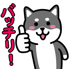 いぬワールド 日常編