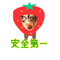 Friends of Koro and Koharu