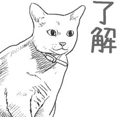 絵から写真へ変化する猫2