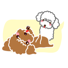 吹き出しだよ～プードル！