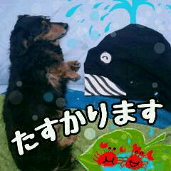 【丁寧・敬語】おとぼけダックス