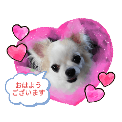 ちぃ様お嬢様言葉