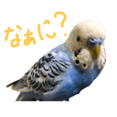 おもしろくうちゃん ver.2