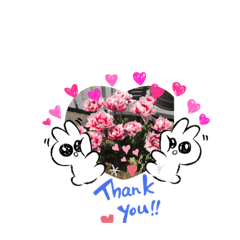 ラブリー&デイリースタンプ