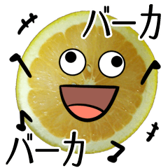 グレープフルーツ(写真スタンプvol.09)