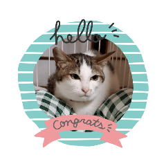 ももニャンスタンプ