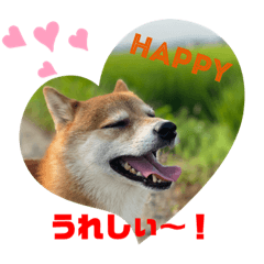 五右衛門でござる 其の参