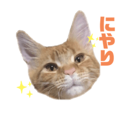 甘栗チンの鬼きゃわスタンプ