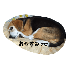 ランちゃんと一緒