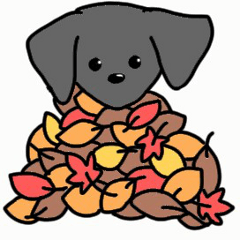 ぼくのなまえはクロです！2 秋