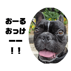 ほんわかトムさん２