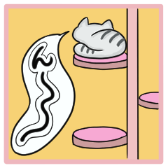 体温  あるいは策略ver36.5