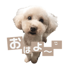 むぎちゃんスタンプ 2ツー