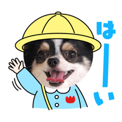 こっつ　いい感じ1