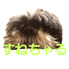 愉快な酒井家２